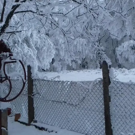 Apartment Erdei Nagyesztergar