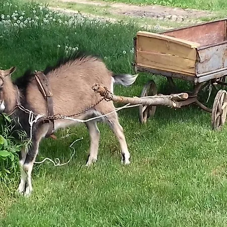 Erdei Vendeghaz * Nagyesztergar