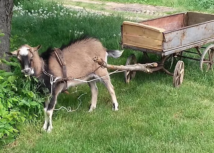 Erdei Vendeghaz * Nagyesztergar